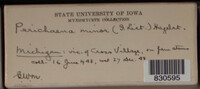 Image Associated With the Occurence